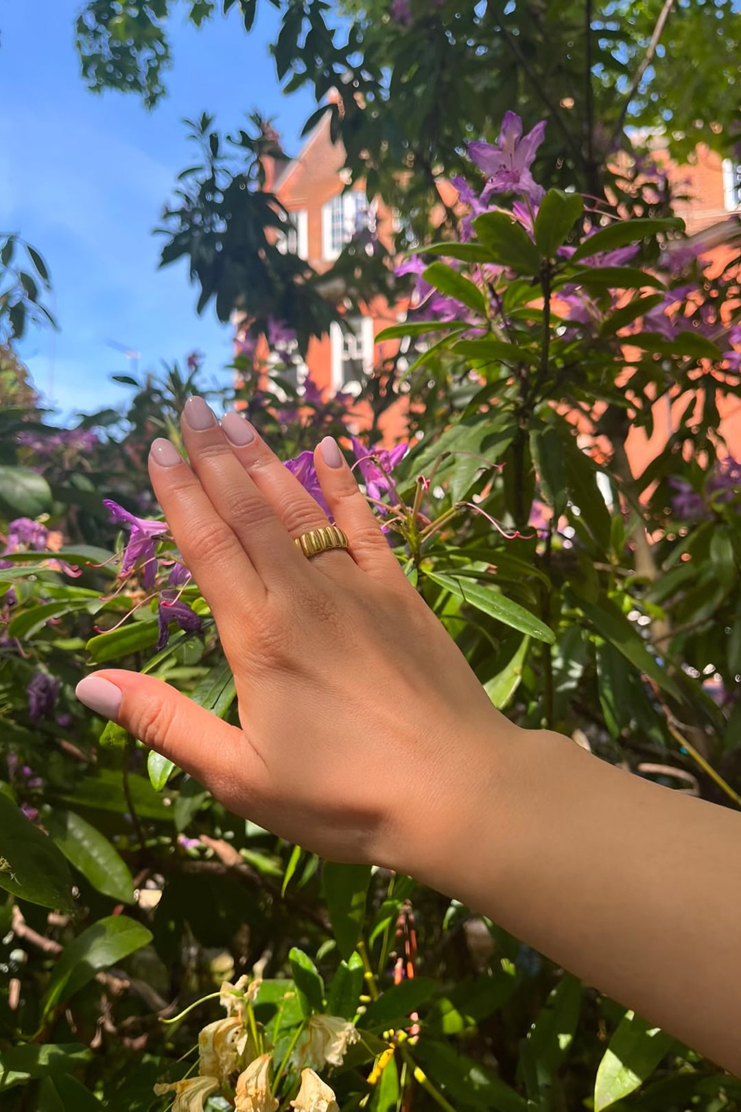 Paola Ring