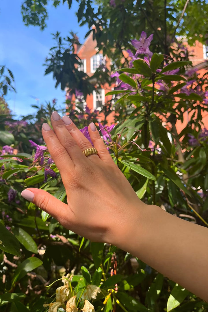Paola Ring