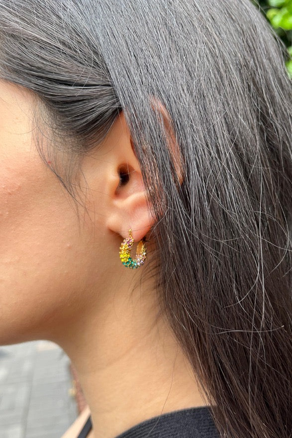 Celine Mini Rainbow Earrings