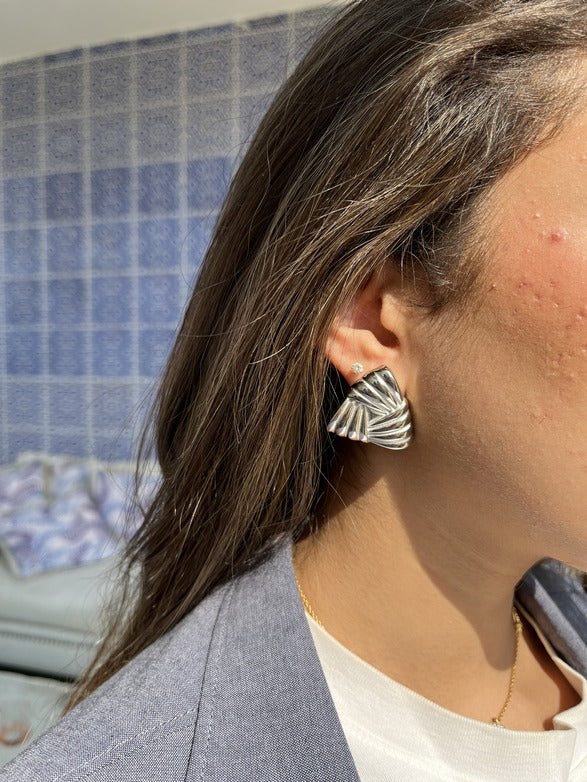 Tobi Silver Earrings