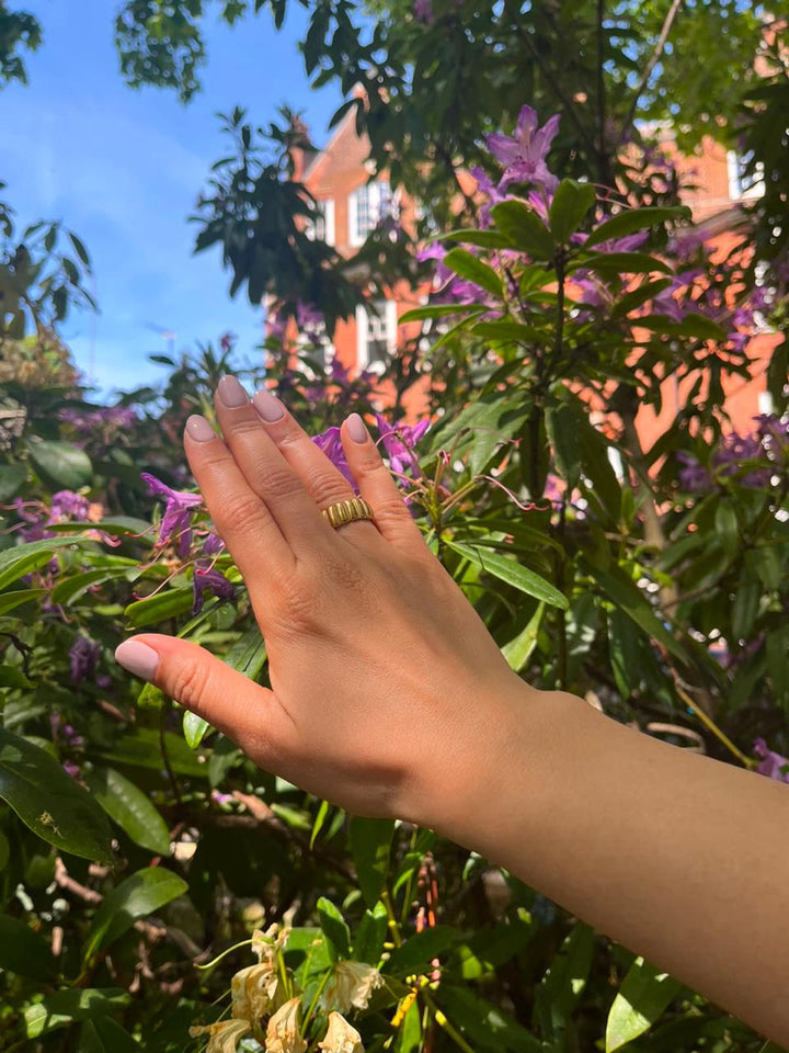 Paola Ring