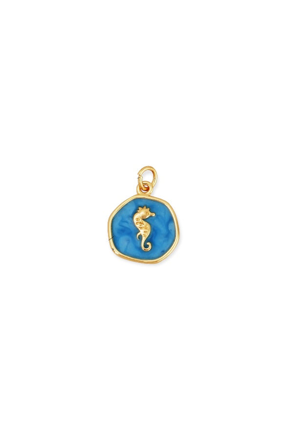 seahorse