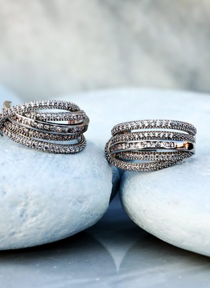 Darwin Earrings