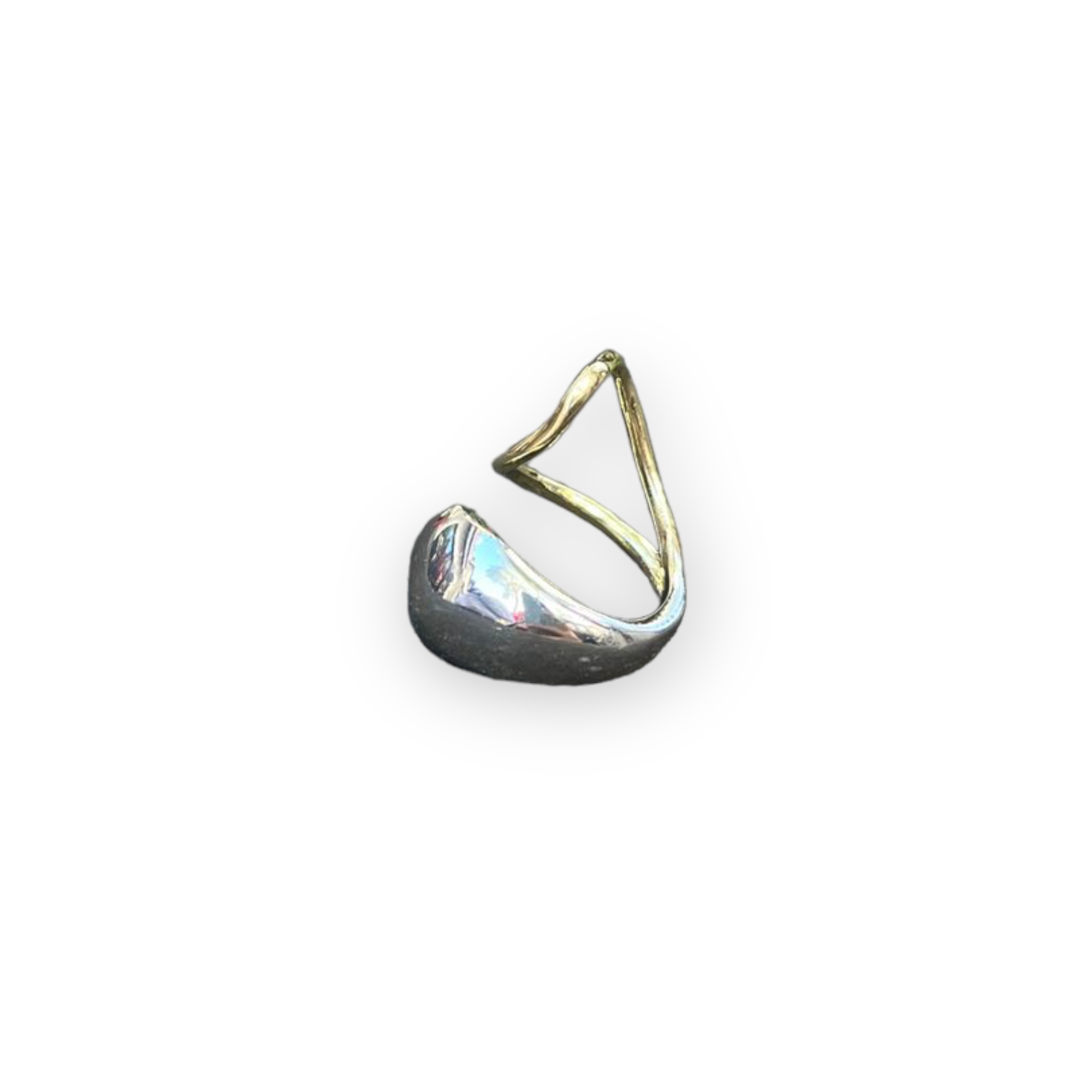 Jamie Ring